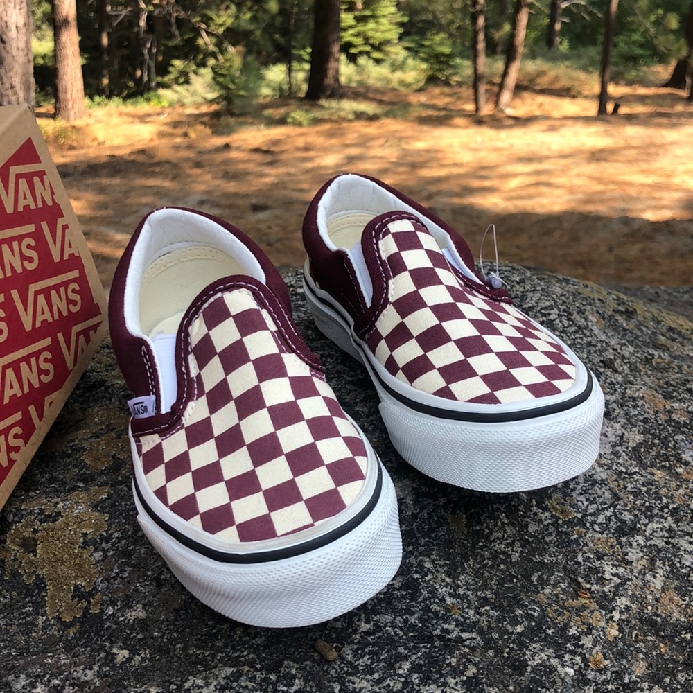 Checkered Vans Slip-On Shoe
